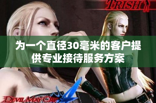 为一个直径30毫米的客户提供专业接待服务方案