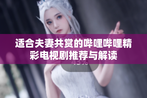 适合夫妻共赏的哔哩哔哩精彩电视剧推荐与解读