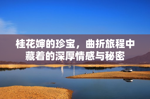桂花婶的珍宝，曲折旅程中藏着的深厚情感与秘密