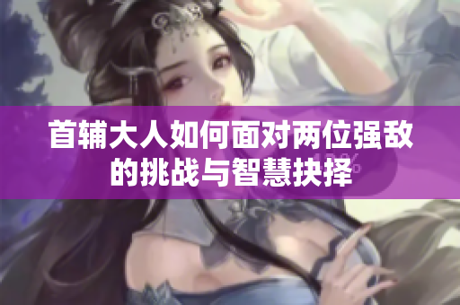 首辅大人如何面对两位强敌的挑战与智慧抉择