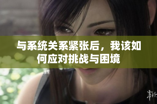 与系统关系紧张后，我该如何应对挑战与困境