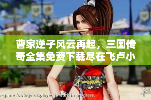 曹家逆子风云再起，三国传奇全集免费下载尽在飞卢小说网