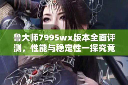 鲁大师7995wx版本全面评测，性能与稳定性一探究竟