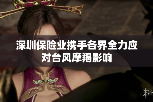 深圳保险业携手各界全力应对台风摩羯影响