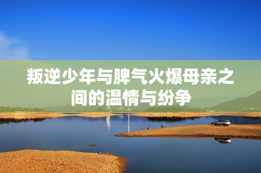 叛逆少年与脾气火爆母亲之间的温情与纷争