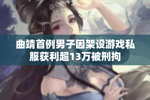 曲靖首例男子因架设游戏私服获利超13万被刑拘
