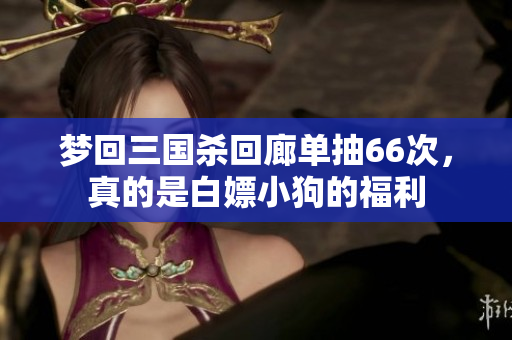 梦回三国杀回廊单抽66次，真的是白嫖小狗的福利