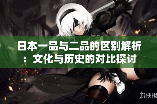 日本一品与二品的区别解析：文化与历史的对比探讨