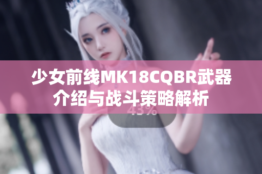 少女前线MK18CQBR武器介绍与战斗策略解析