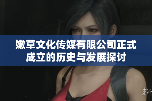 嫩草文化传媒有限公司正式成立的历史与发展探讨