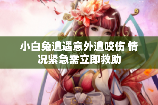 小白兔遭遇意外遭咬伤 情况紧急需立即救助