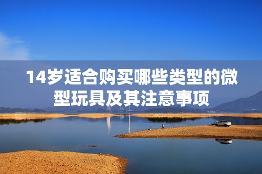 14岁适合购买哪些类型的微型玩具及其注意事项