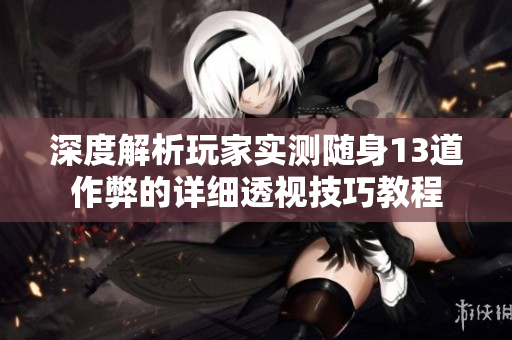 深度解析玩家实测随身13道作弊的详细透视技巧教程