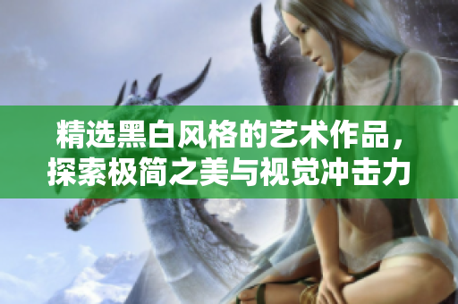 精选黑白风格的艺术作品，探索极简之美与视觉冲击力