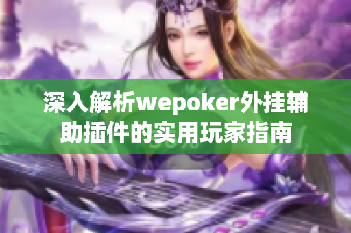 深入解析wepoker外挂辅助插件的实用玩家指南