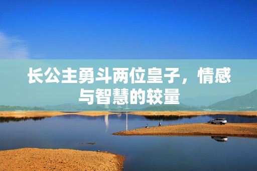 长公主勇斗两位皇子，情感与智慧的较量