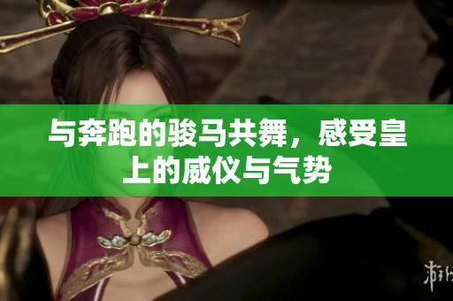与奔跑的骏马共舞，感受皇上的威仪与气势