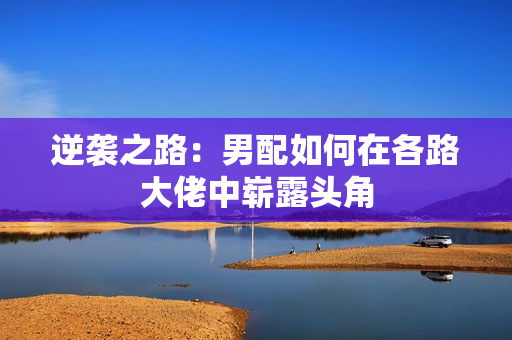 逆袭之路：男配如何在各路大佬中崭露头角