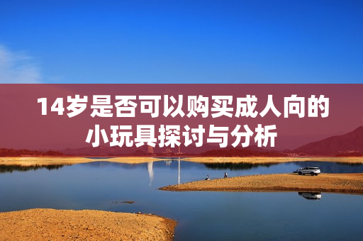 14岁是否可以购买成人向的小玩具探讨与分析