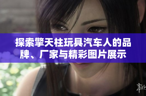 探索擎天柱玩具汽车人的品牌、厂家与精彩图片展示