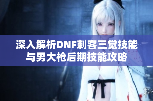 深入解析DNF刺客三觉技能与男大枪后期技能攻略