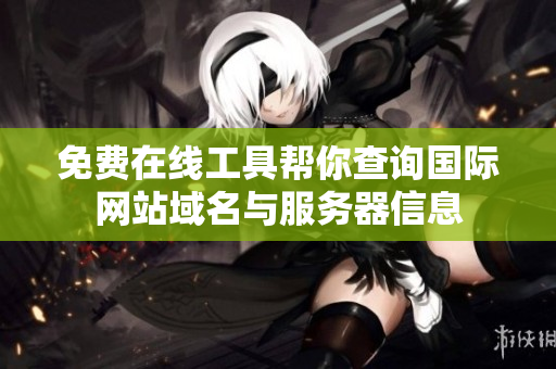 免费在线工具帮你查询国际网站域名与服务器信息