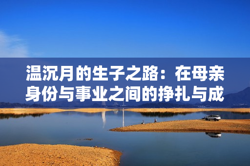 温沉月的生子之路：在母亲身份与事业之间的挣扎与成长