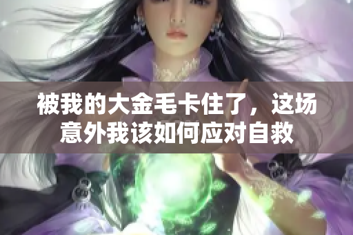 被我的大金毛卡住了，这场意外我该如何应对自救