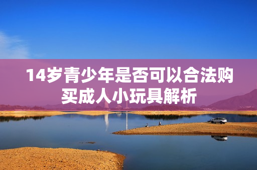 14岁青少年是否可以合法购买成人小玩具解析