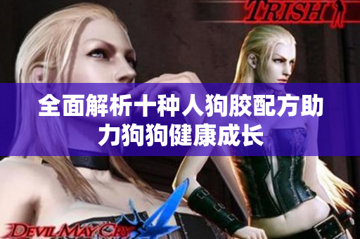 全面解析十种人狗胶配方助力狗狗健康成长