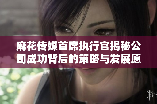麻花传媒首席执行官揭秘公司成功背后的策略与发展愿景