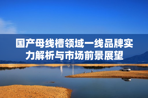 国产母线槽领域一线品牌实力解析与市场前景展望