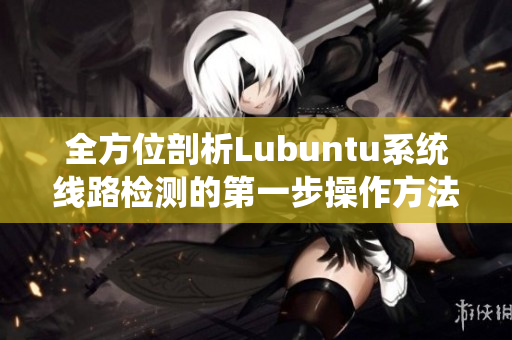 全方位剖析Lubuntu系统线路检测的第一步操作方法