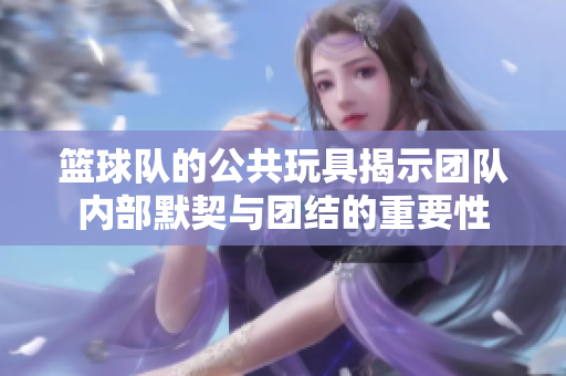 篮球队的公共玩具揭示团队内部默契与团结的重要性