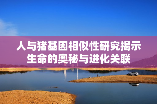 人与猪基因相似性研究揭示生命的奥秘与进化关联
