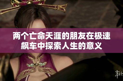 两个亡命天涯的朋友在极速飙车中探索人生的意义