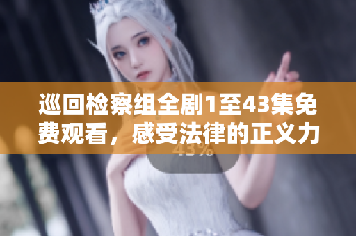 巡回检察组全剧1至43集免费观看，感受法律的正义力量