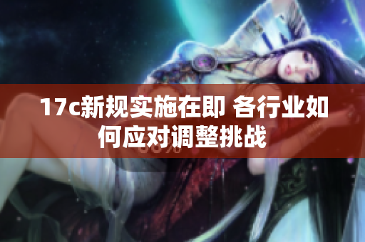 17c新规实施在即 各行业如何应对调整挑战
