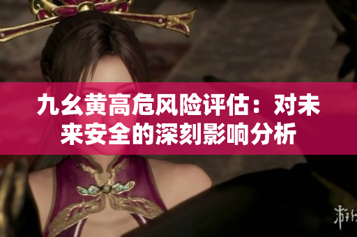 九幺黄高危风险评估：对未来安全的深刻影响分析