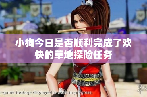 小狗今日是否顺利完成了欢快的草地探险任务