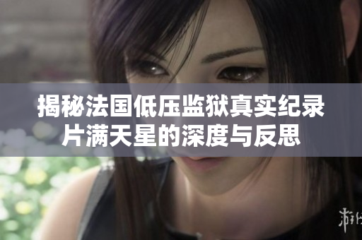 揭秘法国低压监狱真实纪录片满天星的深度与反思