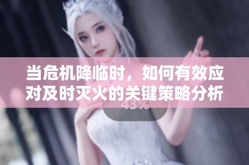 当危机降临时，如何有效应对及时灭火的关键策略分析