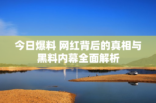 今日爆料 网红背后的真相与黑料内幕全面解析