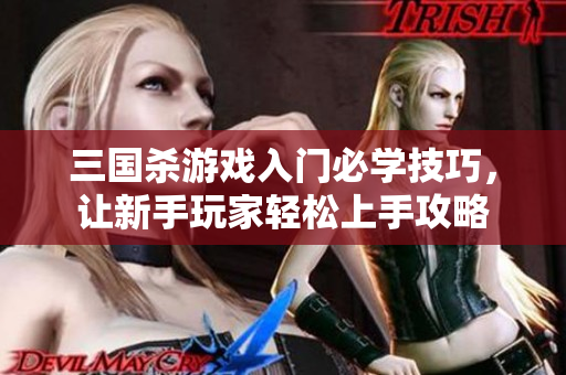 三国杀游戏入门必学技巧，让新手玩家轻松上手攻略