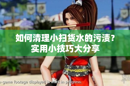 如何清理小扫货水的污渍？实用小技巧大分享