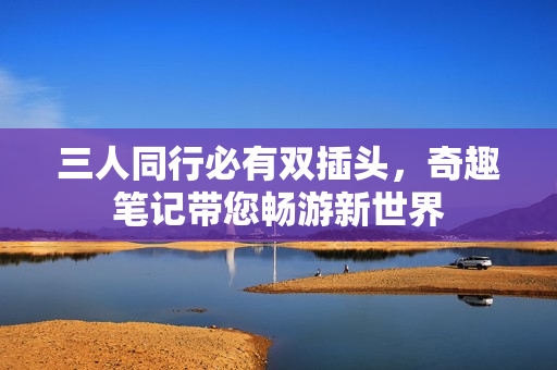 三人同行必有双插头，奇趣笔记带您畅游新世界