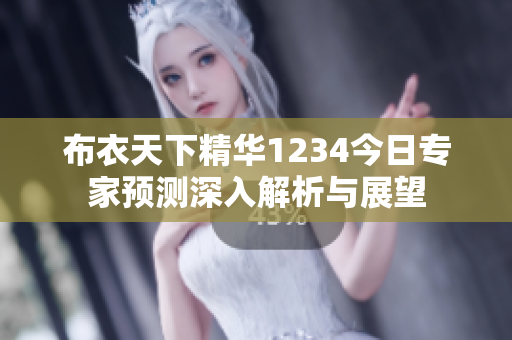 布衣天下精华1234今日专家预测深入解析与展望