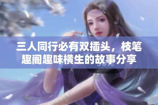 三人同行必有双插头，枝笔趣阁趣味横生的故事分享