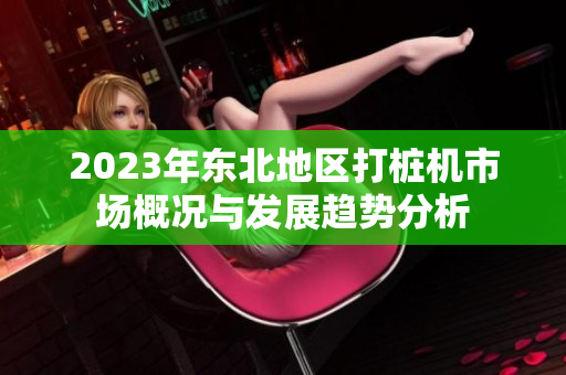2023年东北地区打桩机市场概况与发展趋势分析
