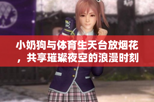 小奶狗与体育生天台放烟花，共享璀璨夜空的浪漫时刻